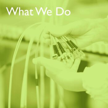 What We Do (Green Web)